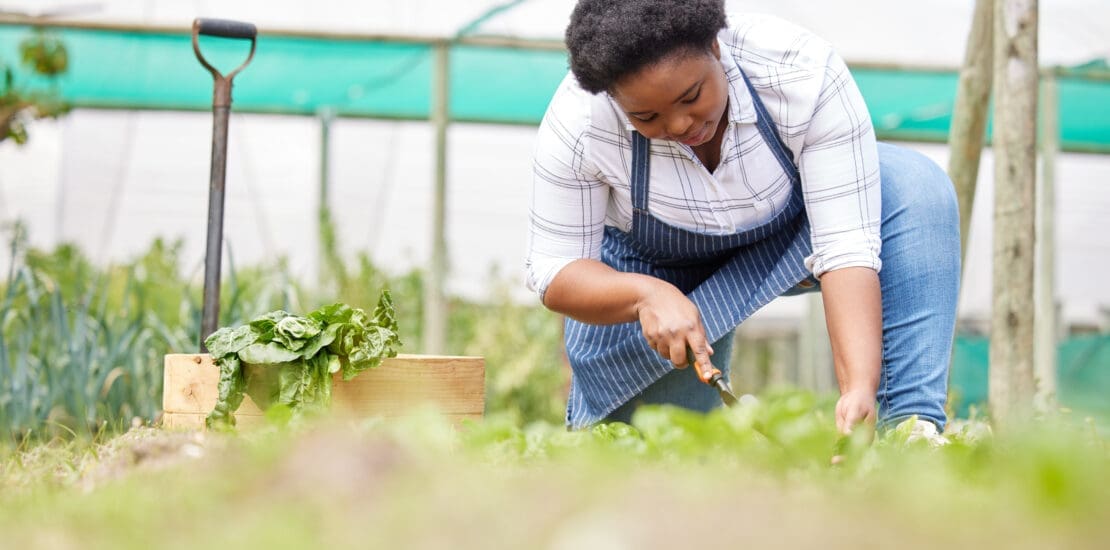 Farming is a game of patience and hope. Shot of a young woman tending to the crops on a farm.